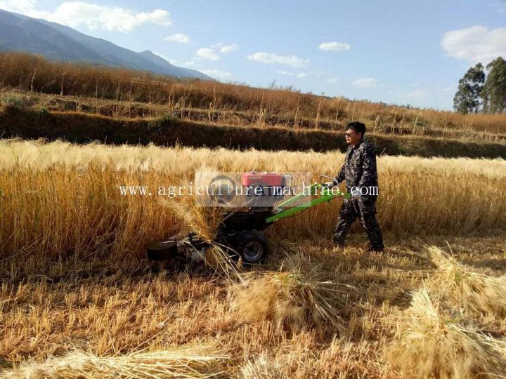 Machine de séchage et de reliure de coupe de blé de riz