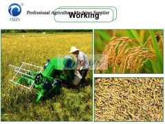 máy gặt đập liên hợp 08