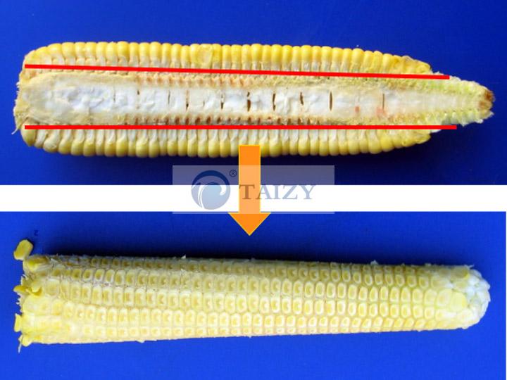 Corte Axial