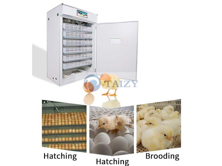 Chicken Egg Incubator Hatching Machines Brooder