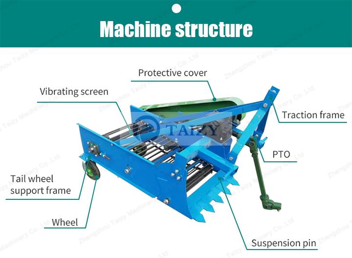 Estructura