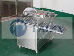 Mesin penabur bibit tray 2BXP-500