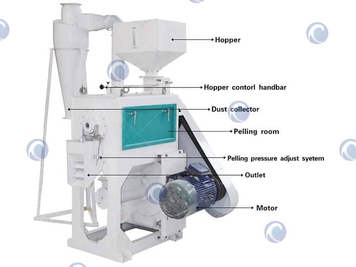 Máquina de descascar feijão mungo 