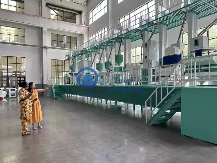 Rice Milling Whitening Plant