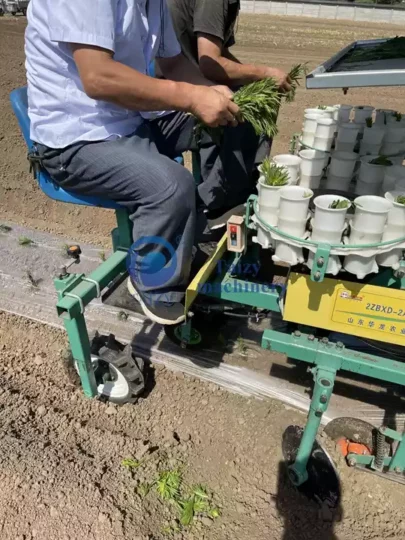 Automatic Seedling Transplanter