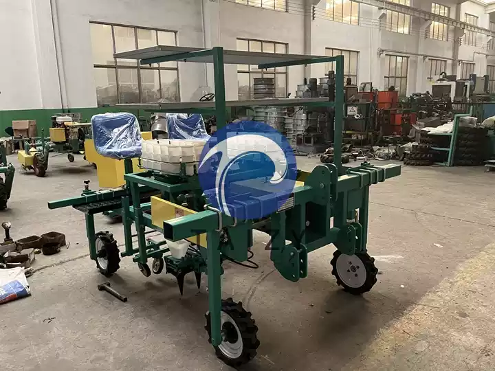 Onion Transplanting Machine