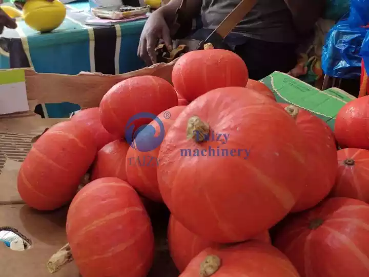 Petani Mauritius Kunjungi dan Beli Transplanter Bibit Sayuran